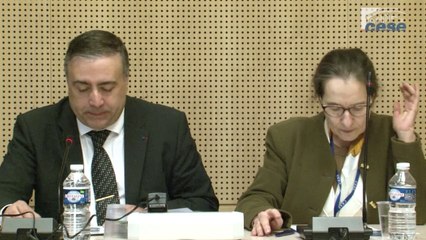 Audition de Viviane BOUYSSE (Inspectrice générale de l’éducation) - cese