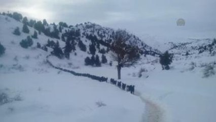 Yaylada Mahsur Kalan Çobanlar Kurtarıldı