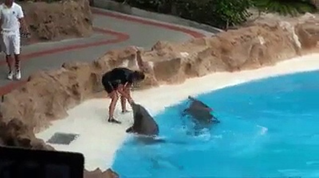 amazing video girls with fish
