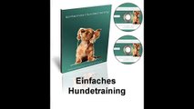 Genial! Einfaches Hundetraining (Hundeerziehung) - Bitte Videoinfo beachten!