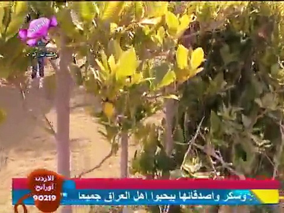يا طيارة