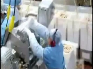 Vous ne verrez plus les hot dogs de la même façon ...