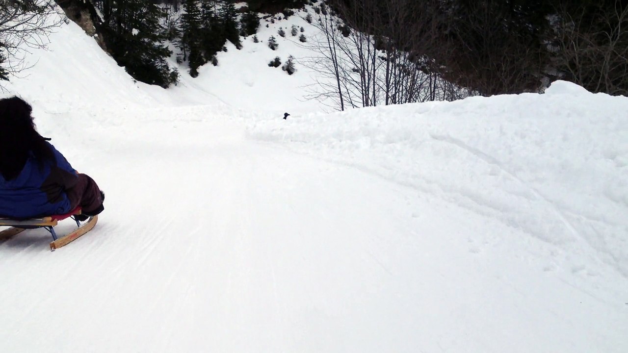 Luge aux Diablerets (1)