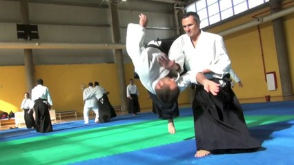 The Aikido Notebooks with Michel Erb Sensei Part 9 MA-AI