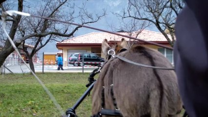 Attelage avec Merlin