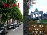 Rent furnished apartments,studios, flats in Brussels  (city) EU and Nato  area  of the capital (Belgium)  Easy Life in Brussels provides short and long term furnished apartments in Brussels. A lot of smaller studios are also available for shorter stays