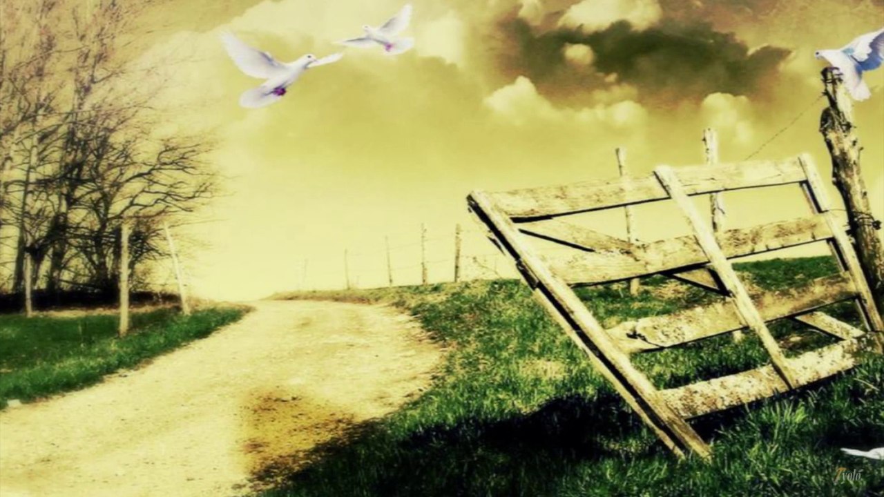 ( Give Peace a Chance ft Out of the Woods ) Taylor Swift cover by Anthem Lights - T YOLO - HD