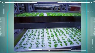 Easy Diy Aquaponics Course Online Reading