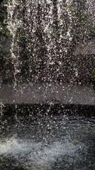 Cascade au jardin botanique de Singapour