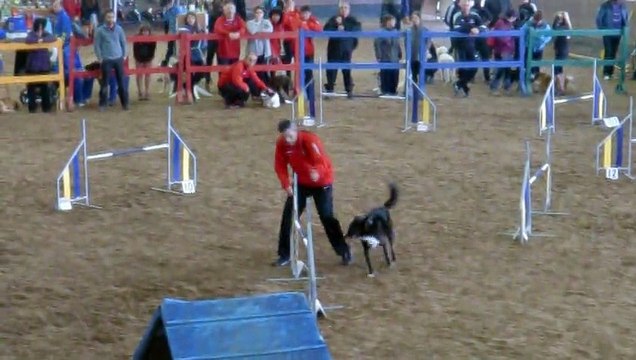 Juan & Candela y Jorge & Daxa - AGILITY EQUIPOS - III COPA FAA [30-11-2014 Castrillón - Asturias]