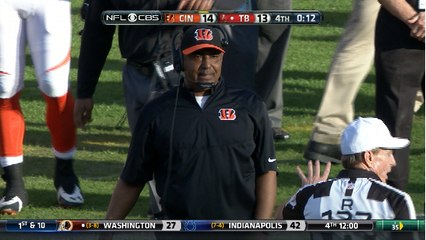 Marvin Lewis' coaching genius