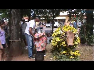 Festa do Boi Falô em Barão Geraldo