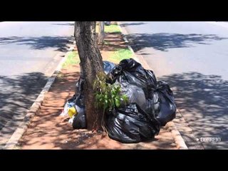 Hortolândia e Americana enfrentam problemas com o serviço de coleta de lixo