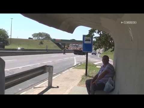 Precariedade em pontos de ônibus da SP-101 leva risco a usuário