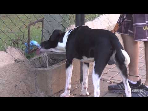 Campinas tem o dia mais quente do Inverno nesta quinta-feira