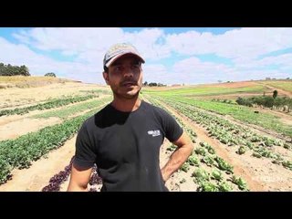 Temporal causa prejuízo para agricultores de Campinas