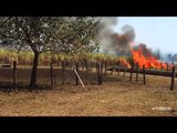 Incêndio em fazenda já dura dois dias