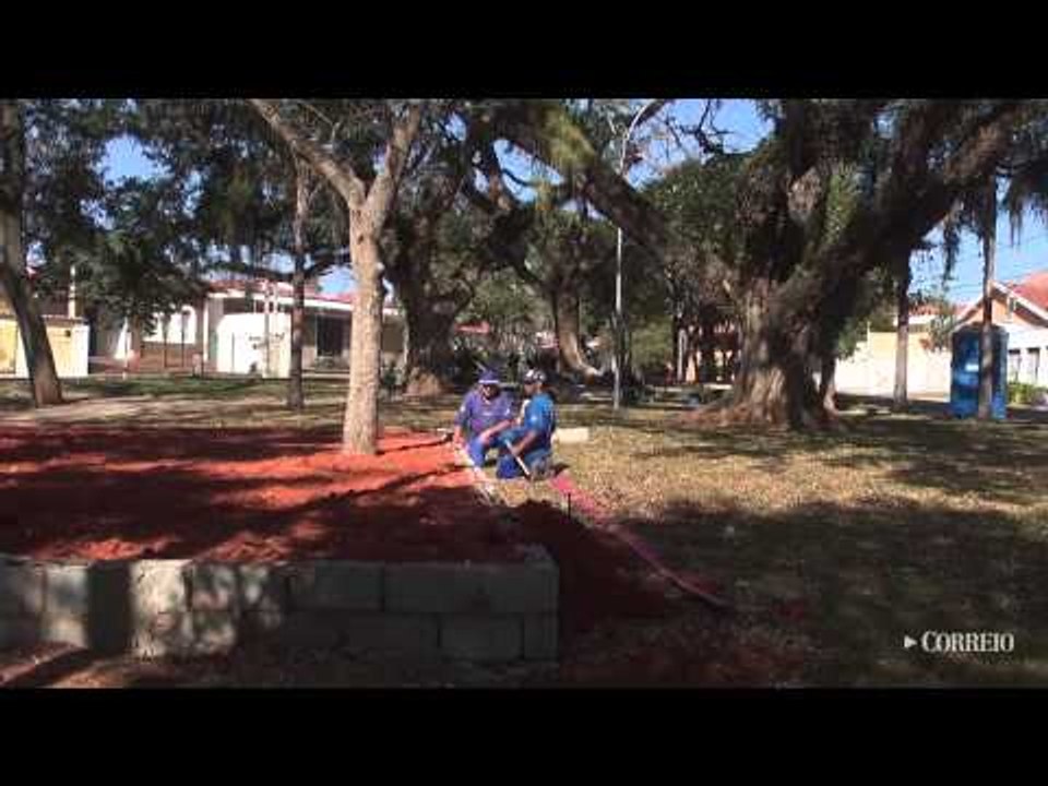 Poda de árvores em praça revolta moradores
