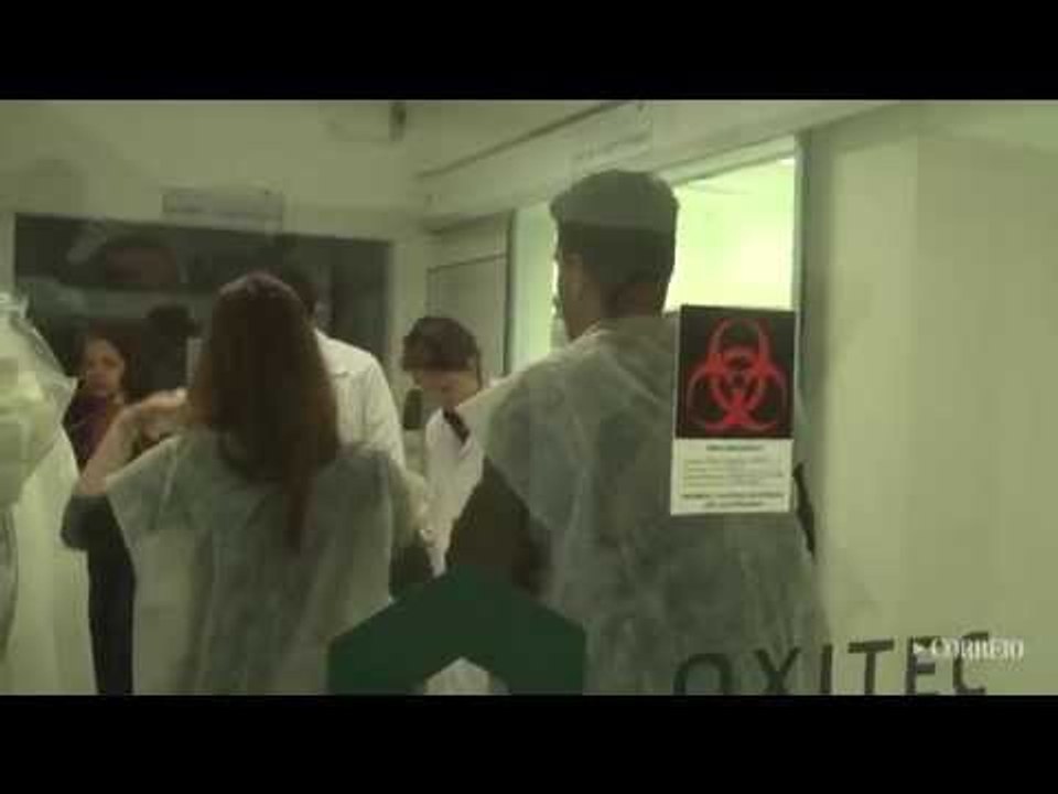 Campinas inaugura 1ª fábrica de mosquito transgênico do País