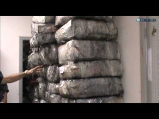 Dise de Campinas apreende 6,5 toneladas de maconha