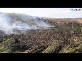 Incêndio ameaça motoristas na Dom Pedro I