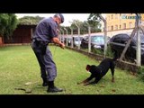 Cães da polícia auxiliam na escolta de seleções