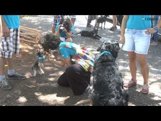Feira Vila das Artes em Sousas
