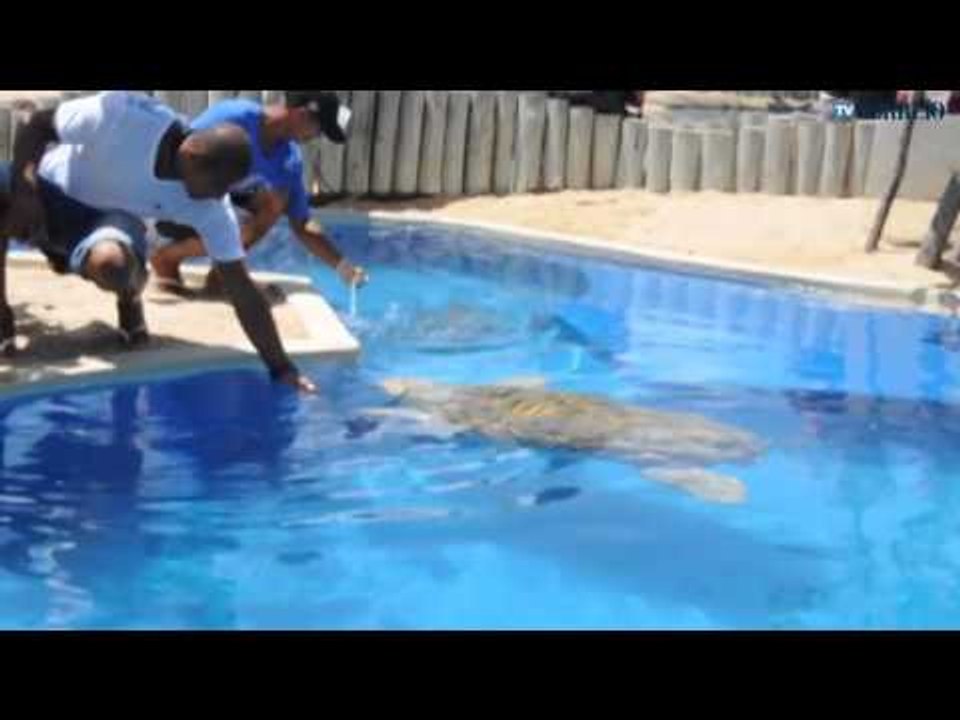 08 03 13 praia do forte