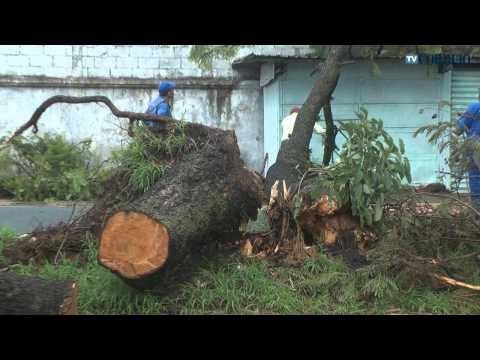Temporal nesta sexta-feira provoca estragos em Campinas