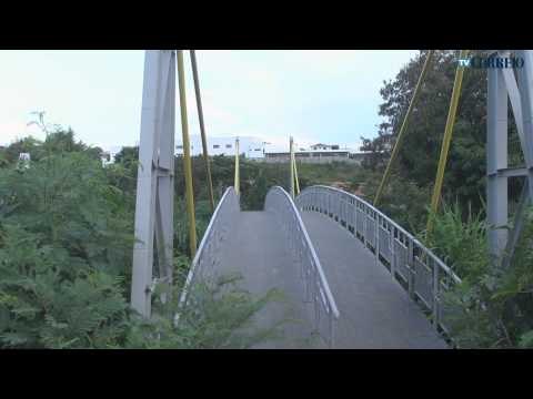 Passarela no meio do mato intriga moradores