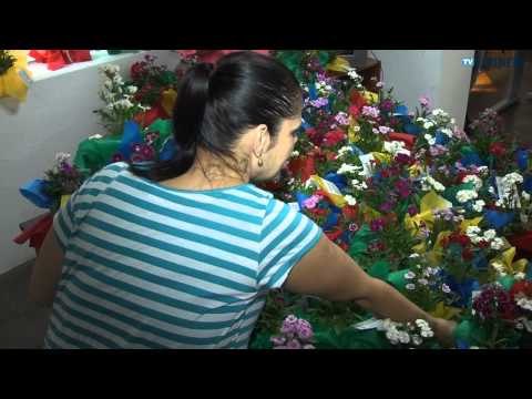 EMDEC distribui mudas para funcionários