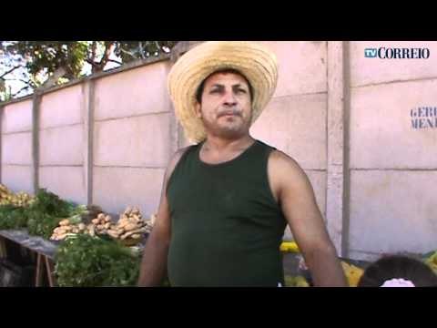 Especial Aniversário de Campinas Norte-Sul