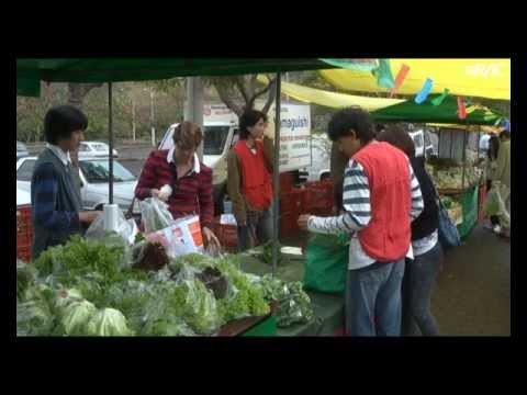 Feira de produtos orgânicos comemora 20 anos em Campinas