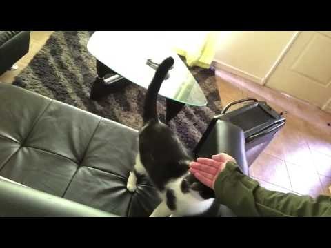 Vardoc Random Life ( Parte 578 ) #Vardoc1 : #Youton 28/11/2014