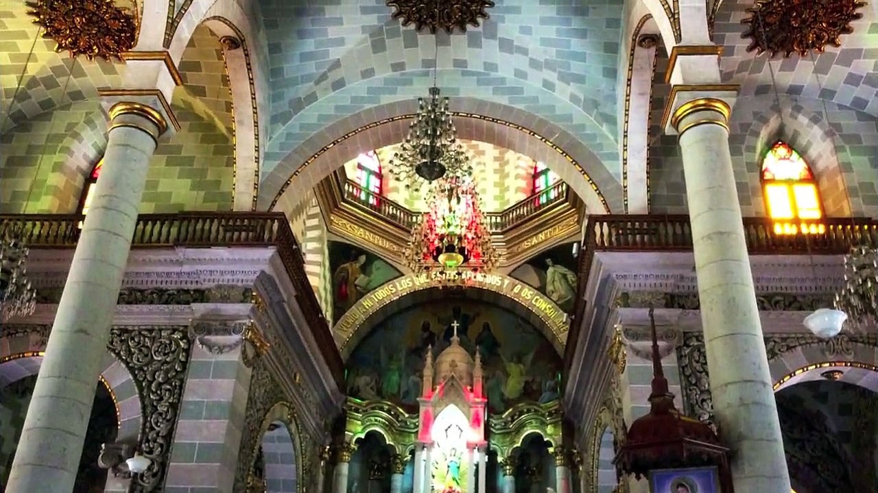 Pigeons ~ Doves in Mazatlan, Mexico