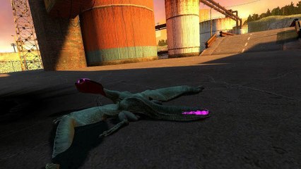 Ninja Mushroom Part 3