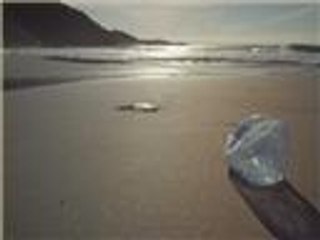 معرض للتعريف بمضار النفايات البلاستيكية بالأردن