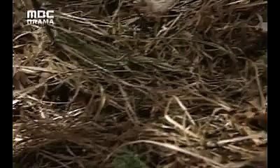 점심을 먹은월곡건마방방 밤해운대건마방방50서울역건마방방128적게는