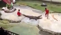 Man Fighting With Crocodile - Video Dailymotion