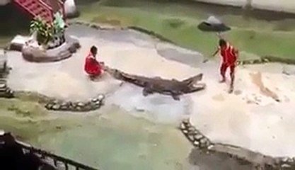 Man Fighting With Crocodile - Video Dailymotion