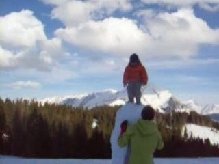 un cactus dans les Aravis !