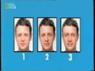 Cerebro y belleza: Simetria facial (El lado izquierdo)