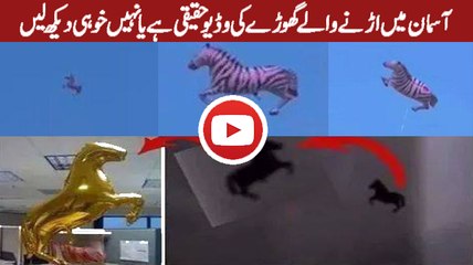 Reality of flying horse in the sky?