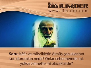 Kâfir ve Müşrik Çocuklarının Dünya ve Âhirette Hükmü