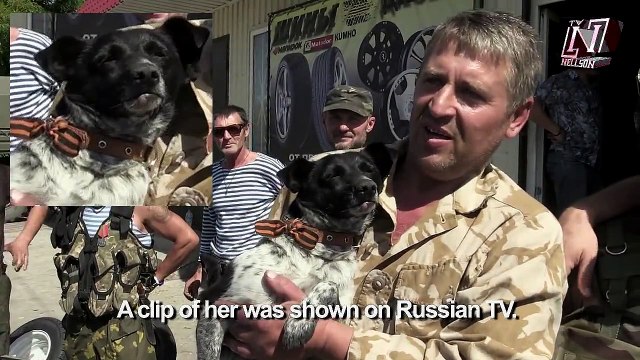 Возрождение Донецкой Народной Республики, история- 2 Часть! Rebirth of the Donetsk People's Republic, history- 2 part![+ENG SUB]