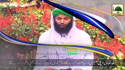Madani Channel Showreel - Friday 7 Nov
