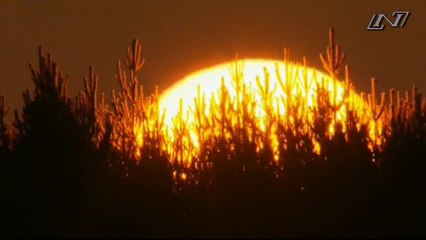 Дикая Скандинавия-1