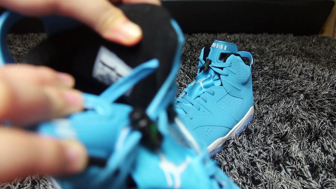 Authentic Air Jordan 6 Panton