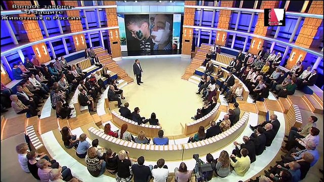 -Вот почему и нужен Закон о Защите животных в России!