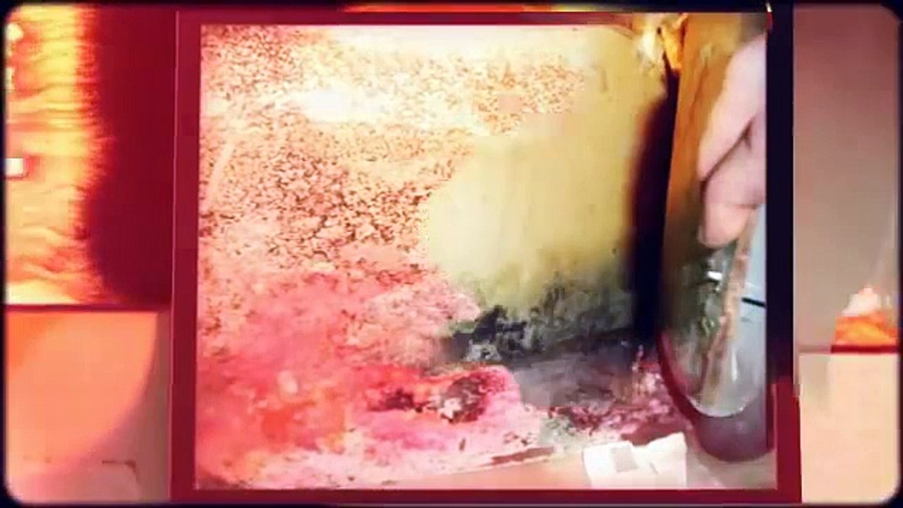 A Home Inspector Atlanta Explains Mold